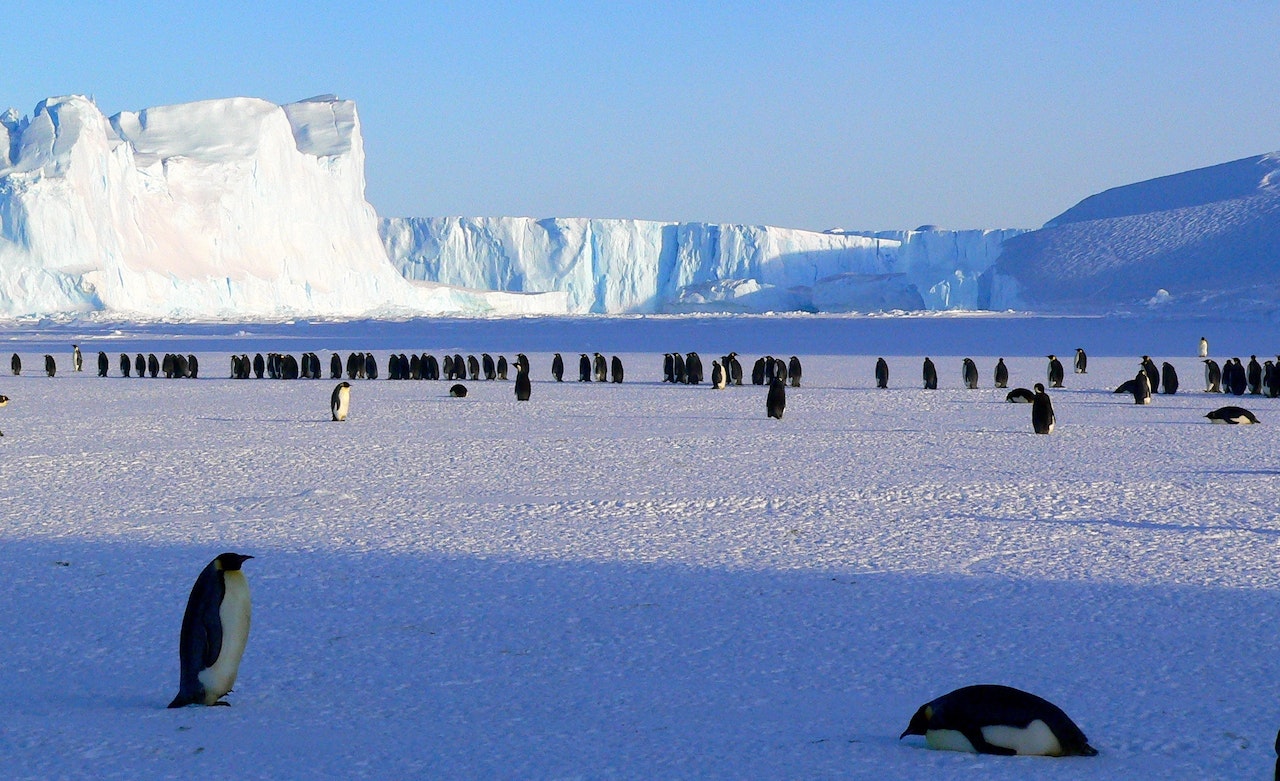 El presidente chileno Sebastián Piñera pidió establecer una zona de protección marítima en la Antártida