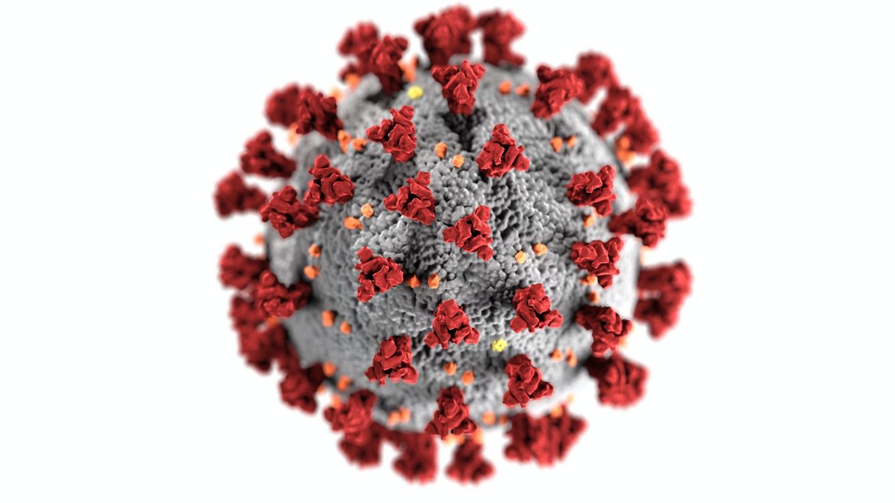 C-37: la nueva variante de coronavirus de origen peruano