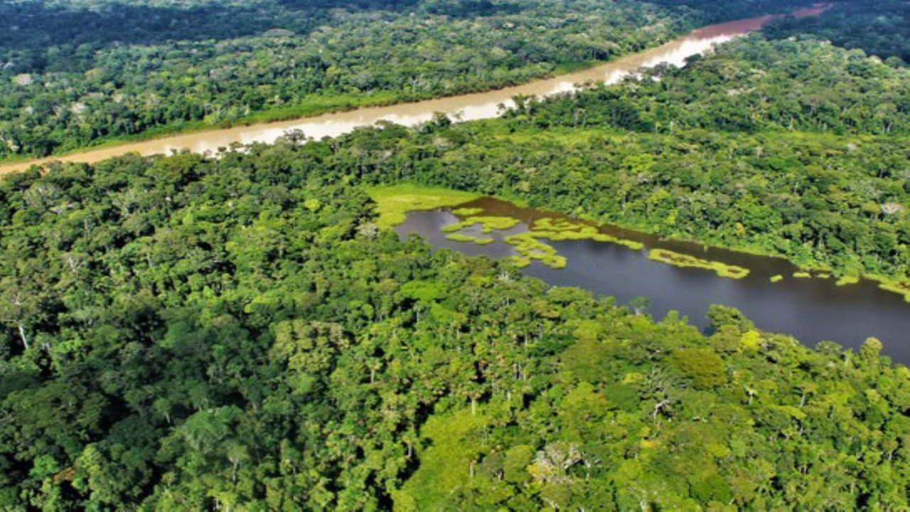 Las alertas de deforestación en Brasil aumentaron un 41 % en mayo frente al mismo mes de 2020.