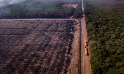 Científicos alertan sobre ‘punto de no retorno’ de la Amazonía