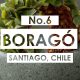 Boragó, Ambrosía, 99 y 040, entre los mejores 50 restaurantes de Latinoamérica