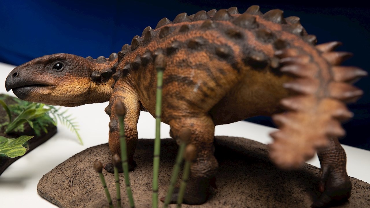 Descubren en Chile una nueva y enigmática especie de dinosaurio acorazado
