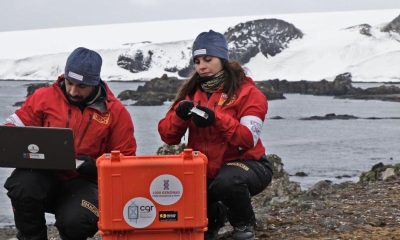 Científicos descubren bacterias con 'superpoderes' contra antibióticos en la Antártica: podrían transferir sus genes