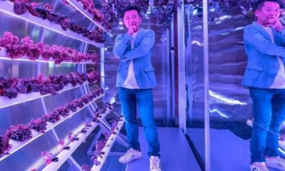 Así es Farm66, la startup en la que invierte Jack Ma y que conmueve al mercado con su agricultura vertical en edificios