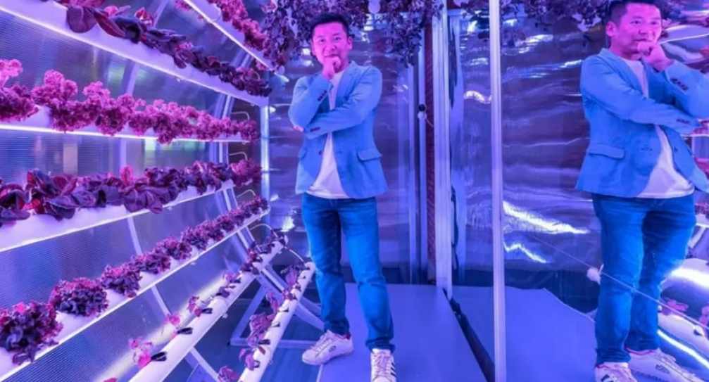 Así es Farm66, la startup en la que invierte Jack Ma y que conmueve al mercado con su agricultura vertical en edificios