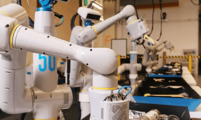 Cómo son los robots de Google que comprenden el lenguaje humano y pueden poner la mesa