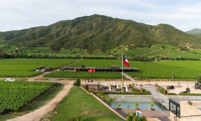 5 viñedos chilenos están entre los 50 mejores del mundo este 2022