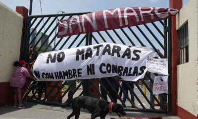 Crisis en Perú: Policía dispersó a manifestantes en Lima y se reportó un fallecido más en protestas