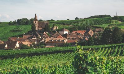 La sobreproducción pone en jaque a la industria del vino en Francia