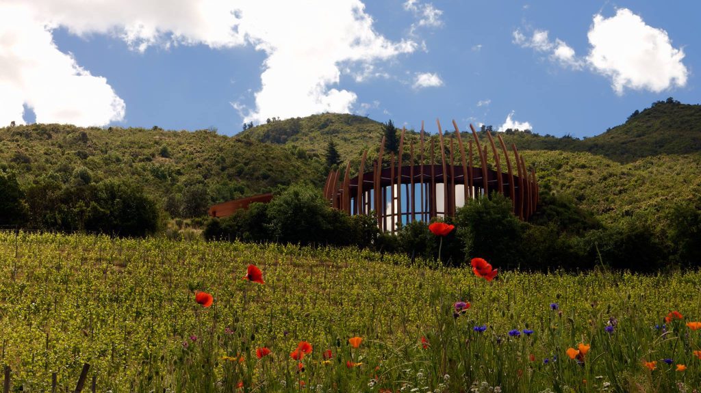 Viña Clos de Apalta