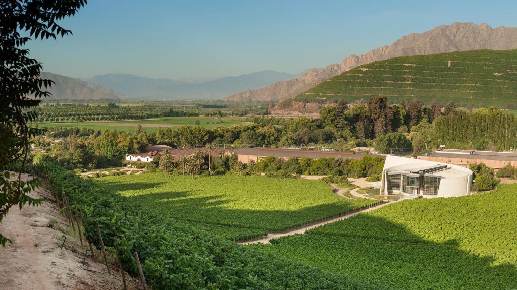 Viña Errazuriz