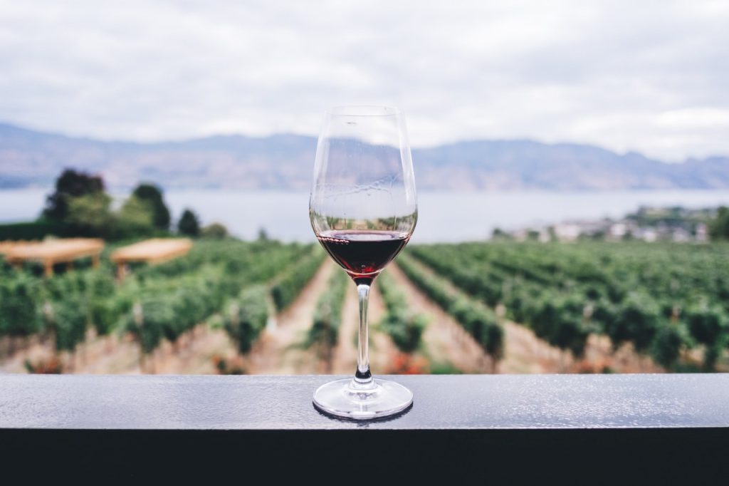 vinos chilenos