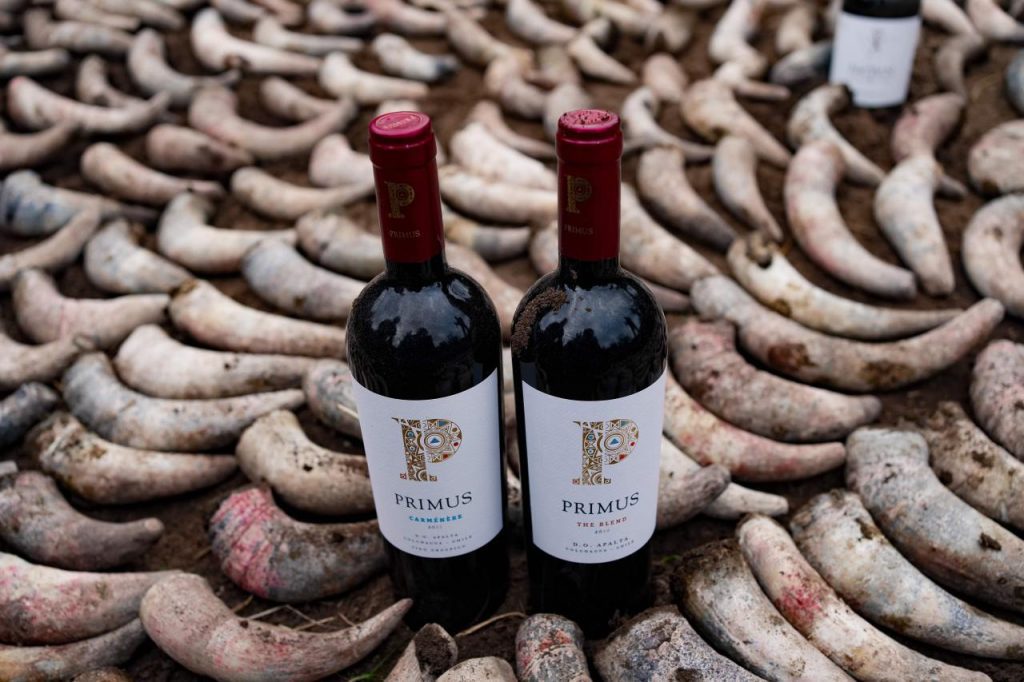 vinos biodinámicos